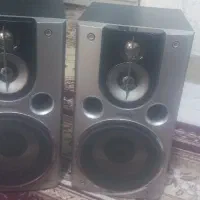 باند و آمپلی فایر