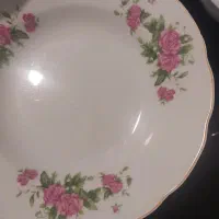 بشقاب چینی خورشت خوری گل سرخی|ظروف سرو و پذیرایی|شیراز, تلخ داش|دیوار