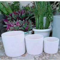 گلدان سفید سرامیکی|گل و گیاه طبیعی|پیشوا, |دیوار