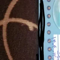 کارت بلیط