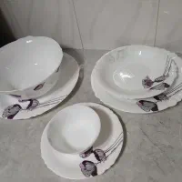 سرویس ۳۰ نفره آرکوپال