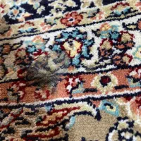 فرش دست دوم تمیز قیمت مناسب ۲میلیون|فرش|بندر انزلی, معلم|دیوار