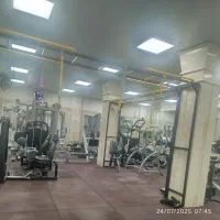 باشگاه صبح تا شب بانوان