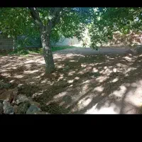 باغ سرسبز خوش جا به قیمت