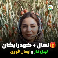 فروش فوری نهال سنجد با شرایط ویژه و هدیه، محدود