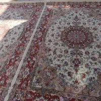 فرش اولیا جفت 6 متری|فرش|تبریز, |دیوار