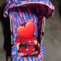 کالسکه|کالسکه و لوازم جانبی|تبریز, |دیوار