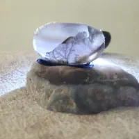 شجر|کلکسیون اشیاء عتیقه|زنجان, |دیوار