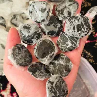 مومنایی(میمنایی)اصل تضمینی