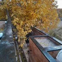 متخصص‌‌فلاشینگ‌آب‌چکان‌درپوش‌درزانقطاع|خدمات پیشه و مهارت|قم, سالاریه|دیوار