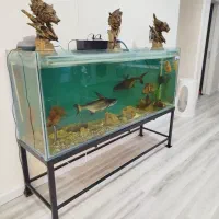 آکواریوم بزرگ با ماهی و تمام لوازم یکجا