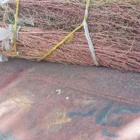 جارو مخصوص دامداران  وپارک وخانه باغ حیاط  خونه