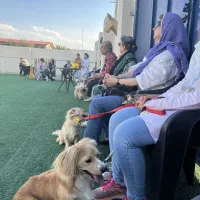 مربی و رفتارشناس سگ