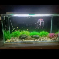 فروش اکواریوم