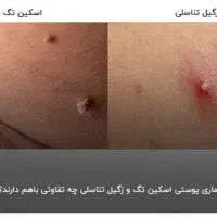 آموزش فیشال تخصصی با پشتیبانی ۶ ماهه|خدمات آموزشی|یاسوج, |دیوار