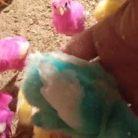 جوجه|پرنده|سیلاخور, |دیوار