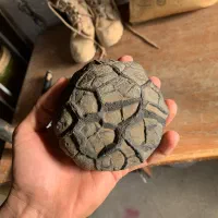 سنگ سپتارین