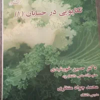 کتاب تکاپوی در حسابان