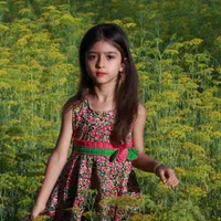 عکاسی فضای باز و آتلیه شیراز|خدمات پذیرایی، مراسم|شیراز, عفیف‌آباد|دیوار