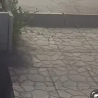 مغازه اجاره ای خ اصلی بین دانشگاه و طالقانی