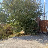 باغ دور دیوار|فروش زمین و ملک کلنگی|تربتحیدریه, حیدرآباد|دیوار