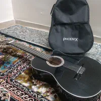 گیتار ایرانی