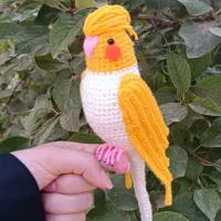 عروسک عروس هلندی|اسباببازی بچه|یزد, |دیوار