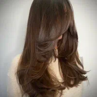 اموزش کوتاهی مو‌ صفرتاصدبا مدرک اقساطی