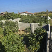 فروش زمین 500متری باکاربری مسکونی|فروش زمین و ملک کلنگی|چابکسر, |دیوار