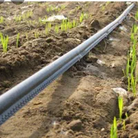 شلنگ قطره ای نوار تیپ ارسال ب کل کشور|گل و گیاه طبیعی|فیروزآباد (لرستان), |دیوار