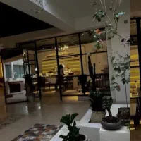 استخدام ناخن کار حرفهای