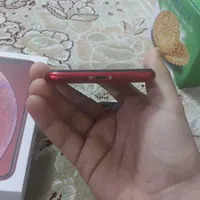 اپل iPhone XR با حافظهٔ ۶۴ گیگابایت|موبایل|قم, بنیاد|دیوار