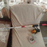 چوب ماهیگیری