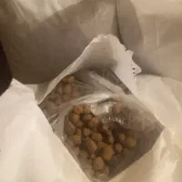 غذای خشک سگ