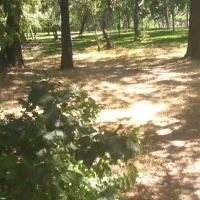 طبیعت گردی