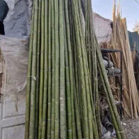 چوب پرچم نی بامبو