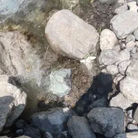 سنگ ۱۱۱۱۱۱