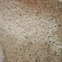 برنج طارم هاشمی فروش فوری قیمت ۳۳۰