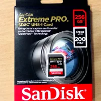 رم Sandisk 256 (سن دیسک 256 گیگابایت)|صوتی و تصویری|تهران, باغ خزانه|دیوار