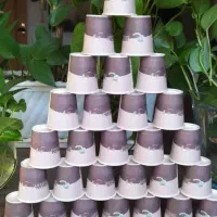 ظروف بکبار مصرف