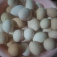 تخم مرغ خودمونی