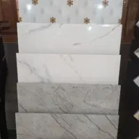 استخدام نیروی بازرگانی