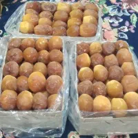 خرما
