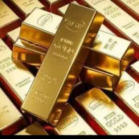 کسب درامد رایگاه