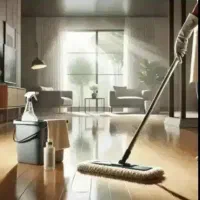 نظافتی کاملا حرفه ای