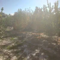 باغ-ویلا-با-قیمت-استثنایی