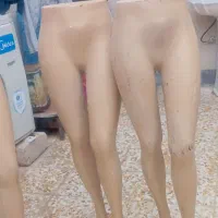 تعداد هفت عدد مانکن به فروش می‌رسد