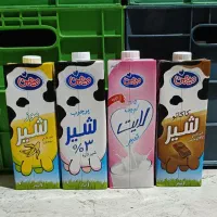 شیر دومینو ۲۰۰ سی‌سی (قیمت عمده)|خوردنی و آشامیدنی|قم, شهرک امام حسن|دیوار