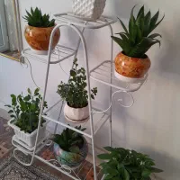 گل و استند گلدان