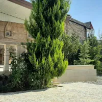 اجاره ویلا باغ شیک لاکچری دو خوابه در محدوده شهری|اجارهٔ کوتاهمدت ویلا و باغ|کرمانشاه, |دیوار